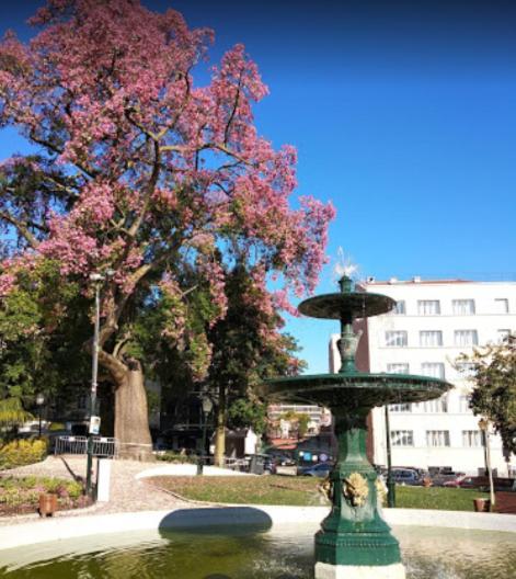 Alegramente Διαμέρισμα Lisboa Εξωτερικό φωτογραφία