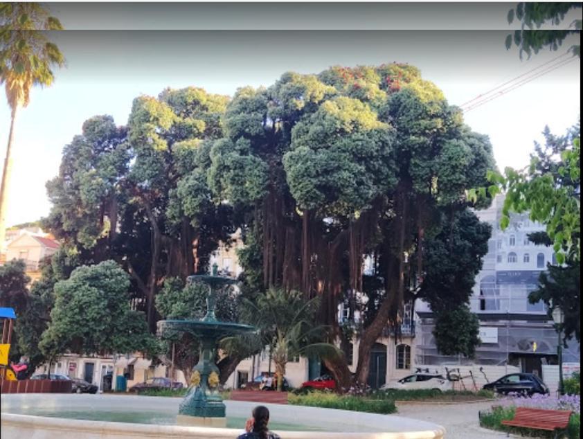 Alegramente Διαμέρισμα Lisboa Εξωτερικό φωτογραφία